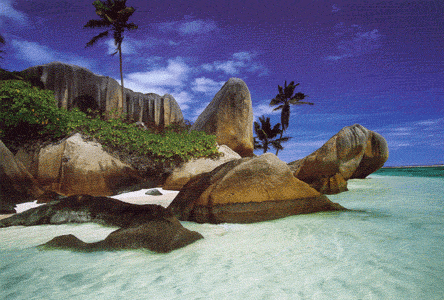 Divers - Plage de R�ve