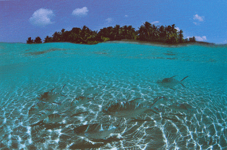 Divers - L'�le
