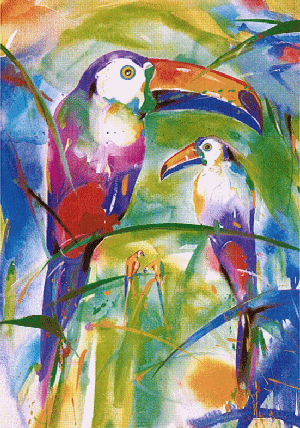 Divers - Les Toucans
