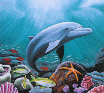 Divers - Le Dauphin