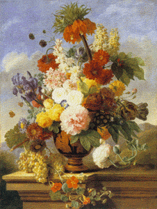 Divers - Fleurs