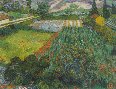Vincent Van Gogh - Champs de Coquelicots