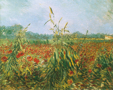 Vincent Van Gogh - Les Epis Verts