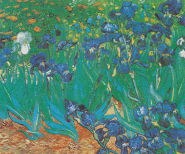 Vincent Van Gogh - Le Jardin d'Iris