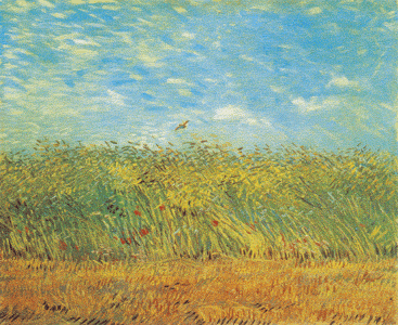 Vincent Van Gogh - Champ de Ma�s