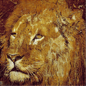 Divers - Le Lion