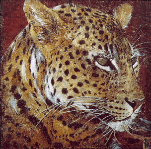 Divers - Le Gu�pard